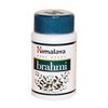 support-acs24-Brahmi